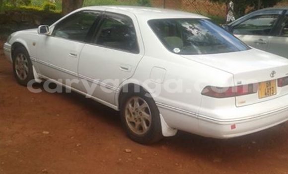 Buy Used Toyota Camry White Car in Limbe in Malawi Buy Used Toyota Camry White Car in Limbe in Malawi