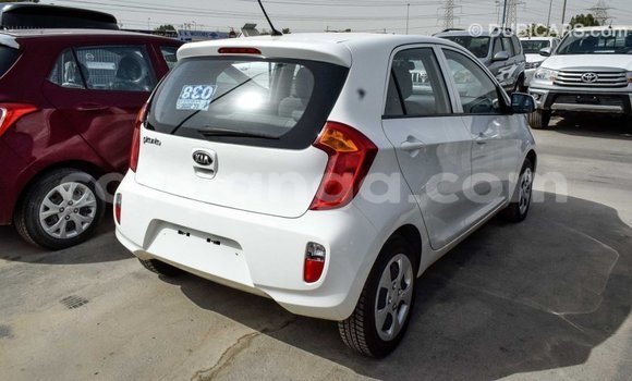 Nunua Imported Kia Picanto White Gari ndani ya Import - Dubai nchini Malawi Nunua Imported Kia Picanto White Gari ndani ya Import - Dubai nchini Malawi