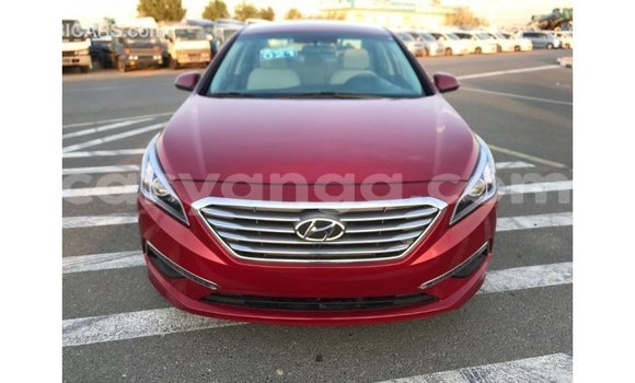 Buy Import Hyundai Sonata Red Car in Import - Dubai in Malawi Buy Import Hyundai Sonata Red Car in Import - Dubai in Malawi