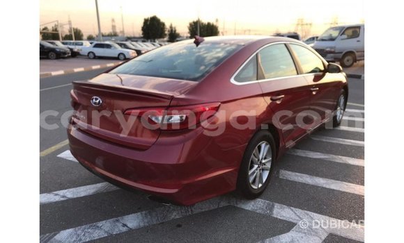 Buy Import Hyundai Sonata Red Car in Import - Dubai in Malawi Buy Import Hyundai Sonata Red Car in Import - Dubai in Malawi