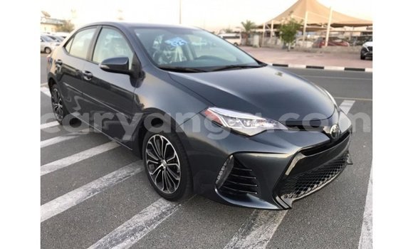 Buy Import Toyota Corolla Other Car in Import - Dubai in Malawi Buy Import Toyota Corolla Other Car in Import - Dubai in Malawi
