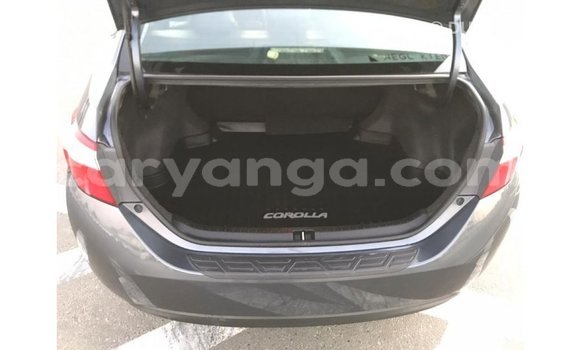 Buy Import Toyota Corolla Other Car in Import - Dubai in Malawi Buy Import Toyota Corolla Other Car in Import - Dubai in Malawi