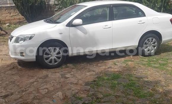 Acheter Occasion Voiture Toyota Axio Blanc à Limbe, Malawi Acheter Occasion Voiture Toyota Axio Blanc à Limbe, Malawi
