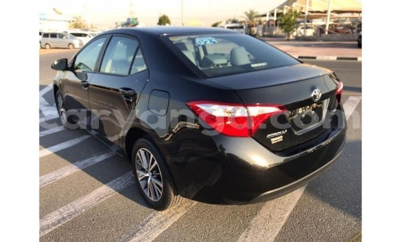Buy Import Toyota Corolla Black Car in Import - Dubai in Malawi Buy Import Toyota Corolla Black Car in Import - Dubai in Malawi