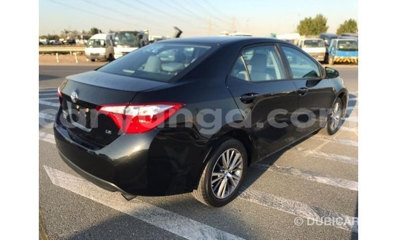 Buy Import Toyota Corolla Black Car in Import - Dubai in Malawi Buy Import Toyota Corolla Black Car in Import - Dubai in Malawi