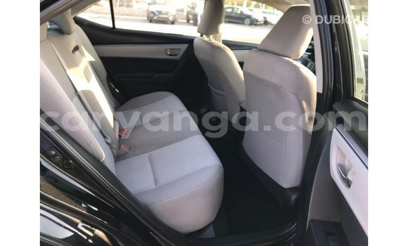 Buy Import Toyota Corolla Black Car in Import - Dubai in Malawi Buy Import Toyota Corolla Black Car in Import - Dubai in Malawi