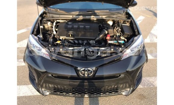 Buy Import Toyota Corolla Black Car in Import - Dubai in Malawi Buy Import Toyota Corolla Black Car in Import - Dubai in Malawi
