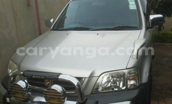 Buy Used Honda CR-V Silver Car in Limbe in Malawi Buy Used Honda CR-V Silver Car in Limbe in Malawi
