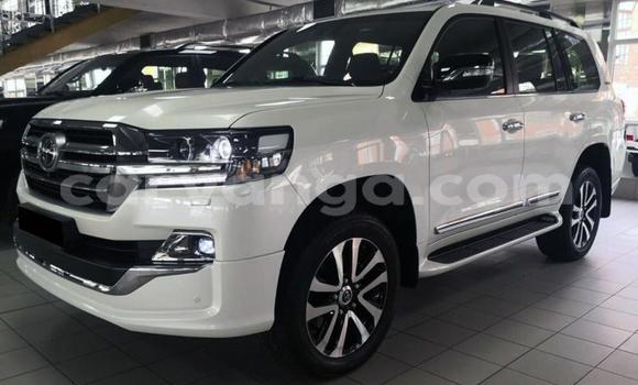 Buy Used Toyota Land Cruiser White Car in Dowa in Dowa Buy Used Toyota Land Cruiser White Car in Dowa in Dowa