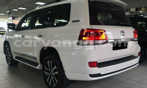 Buy Used Toyota Land Cruiser White Car in Dowa in Dowa Buy Used Toyota Land Cruiser White Car in Dowa in Dowa