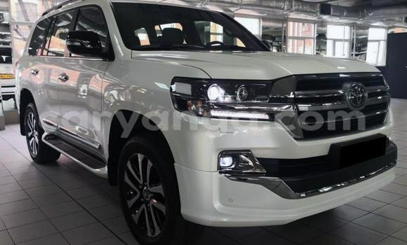 Buy Used Toyota Land Cruiser White Car in Dowa in Dowa Buy Used Toyota Land Cruiser White Car in Dowa in Dowa