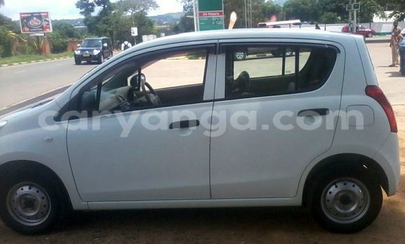 Buy New Suzuki Alto Black Car in Blantyre in Malawi Buy New Suzuki Alto Black Car in Blantyre in Malawi