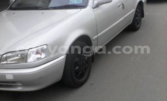 Buy Used Toyota 4Runner Other Car in Limbe in Malawi Buy Used Toyota 4Runner Other Car in Limbe in Malawi