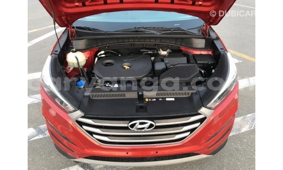 Buy Import Hyundai Tucson Red Car in Import - Dubai in Malawi Buy Import Hyundai Tucson Red Car in Import - Dubai in Malawi