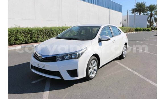 Buy Import Toyota Corolla White Car in Import - Dubai in Malawi Buy Import Toyota Corolla White Car in Import - Dubai in Malawi
