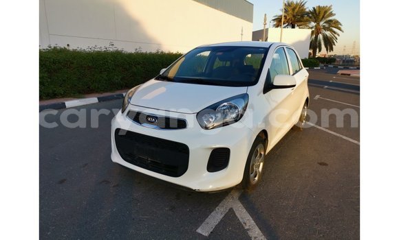 Buy Import Kia Picanto White Car in Import - Dubai in Malawi Buy Import Kia Picanto White Car in Import - Dubai in Malawi