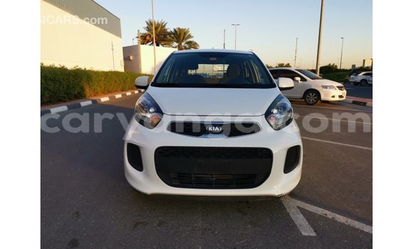 Buy Import Kia Picanto White Car in Import - Dubai in Malawi Buy Import Kia Picanto White Car in Import - Dubai in Malawi