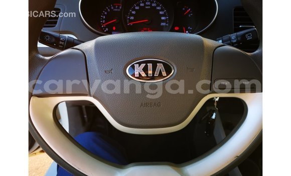 Buy Import Kia Picanto White Car in Import - Dubai in Malawi Buy Import Kia Picanto White Car in Import - Dubai in Malawi