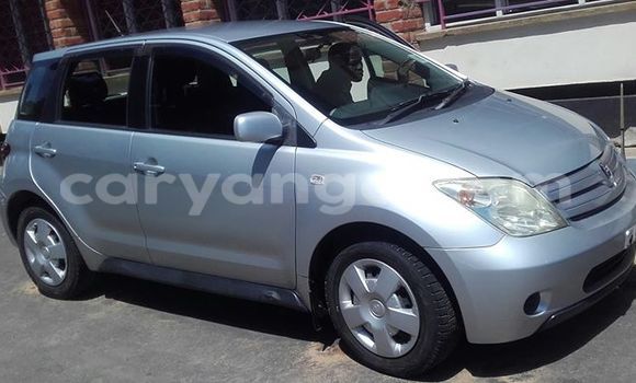 Buy Used Toyota IST Silver Car in Limbe in Malawi Buy Used Toyota IST Silver Car in Limbe in Malawi