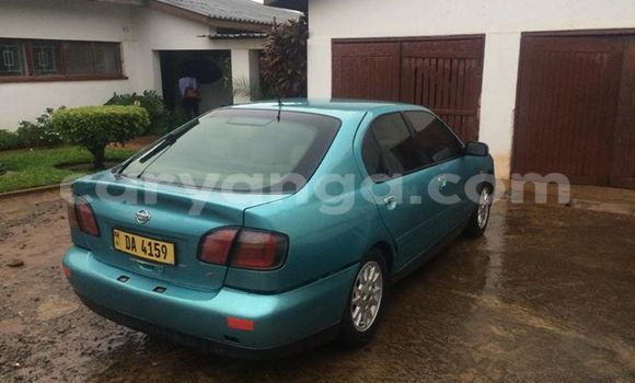 Buy Used Nissan Primera Other Car in Limbe in Malawi