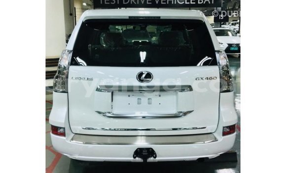 Acheter Import Voiture Lexus GX Blanc à Import - Dubai, Malawi Acheter Import Voiture Lexus GX Blanc à Import - Dubai, Malawi
