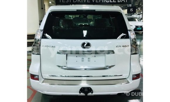 Acheter Import Voiture Lexus GX Blanc à Import - Dubai, Malawi Acheter Import Voiture Lexus GX Blanc à Import - Dubai, Malawi