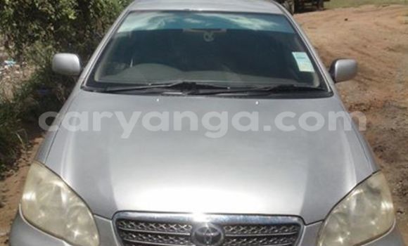 Acheter Occasion Voiture Toyota Corolla Gris à Limbe, Malawi Acheter Occasion Voiture Toyota Corolla Gris à Limbe, Malawi