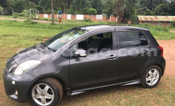 Buy Used Toyota Vitz Black Car in Limbe in Malawi Buy Used Toyota Vitz Black Car in Limbe in Malawi
