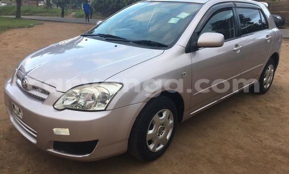 Buy Used Toyota Allex Silver Car in Limbe in Malawi Buy Used Toyota Allex Silver Car in Limbe in Malawi