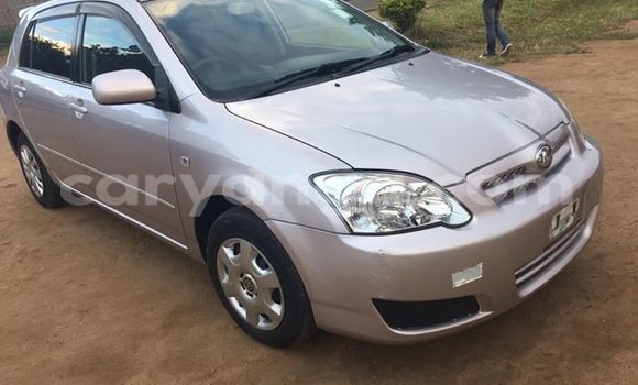 Buy Used Toyota Allex Silver Car in Limbe in Malawi Buy Used Toyota Allex Silver Car in Limbe in Malawi