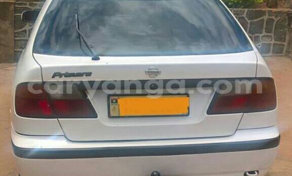 Buy Used Nissan Primera White Car in Limbe in Malawi Buy Used Nissan Primera White Car in Limbe in Malawi