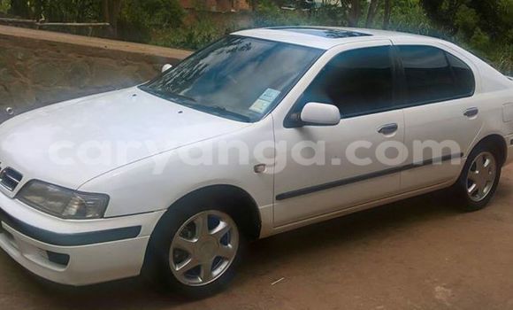 Buy Used Nissan Primera White Car in Limbe in Malawi Buy Used Nissan Primera White Car in Limbe in Malawi