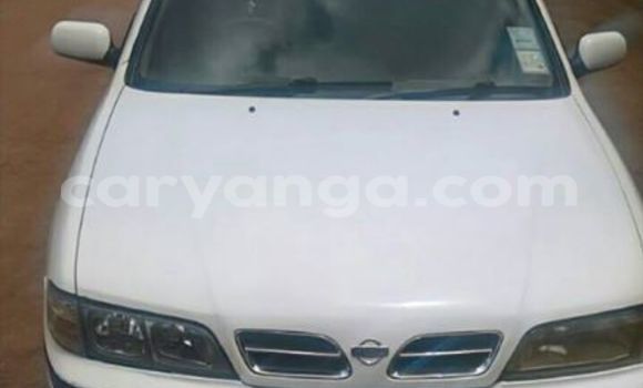 Buy Used Nissan Primera White Car in Limbe in Malawi Buy Used Nissan Primera White Car in Limbe in Malawi