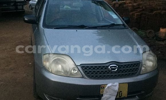 Acheter Occasion Voiture Toyota Corolla Gris à Limbe, Malawi Acheter Occasion Voiture Toyota Corolla Gris à Limbe, Malawi