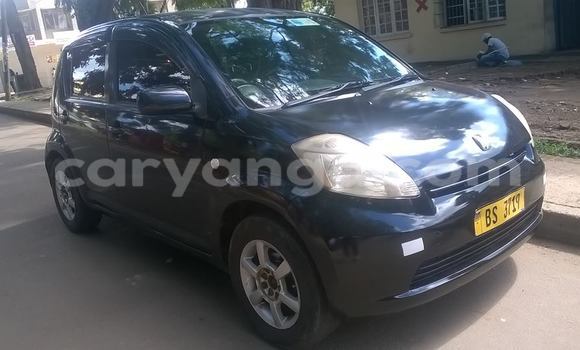 Buy Used Toyota Passo Black Car in Limbe in Malawi