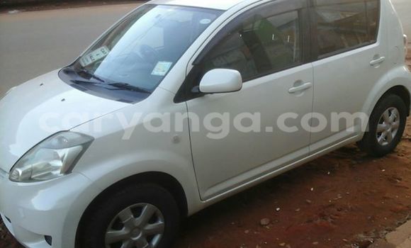 Buy Used Toyota Passo White Car in Limbe in Malawi Buy Used Toyota Passo White Car in Limbe in Malawi