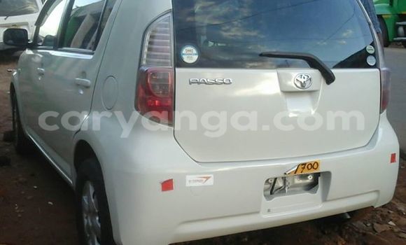 Buy Used Toyota Passo White Car in Limbe in Malawi Buy Used Toyota Passo White Car in Limbe in Malawi