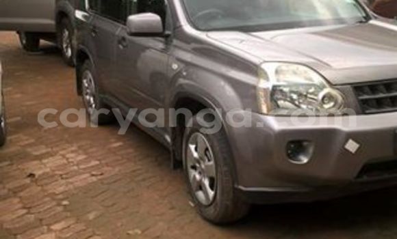 Buy Used Nissan X–Trail Silver Car in Limbe in Malawi Buy Used Nissan X–Trail Silver Car in Limbe in Malawi