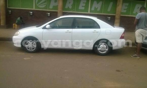 Buy Used Toyota Corolla White Car in Limbe in Malawi Buy Used Toyota Corolla White Car in Limbe in Malawi