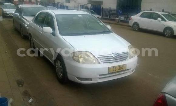 Buy Used Toyota Corolla White Car in Limbe in Malawi Buy Used Toyota Corolla White Car in Limbe in Malawi