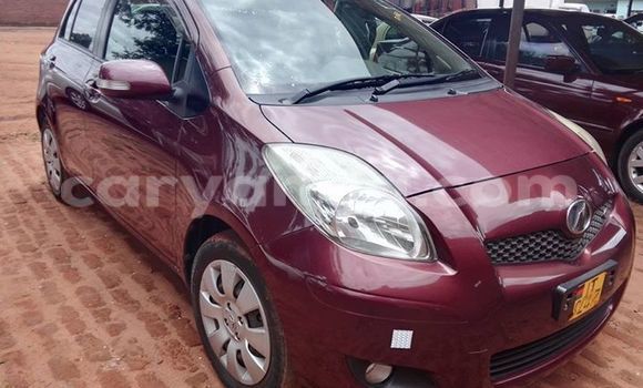 Buy Used Toyota Vitz Red Car in Limbe in Malawi Buy Used Toyota Vitz Red Car in Limbe in Malawi