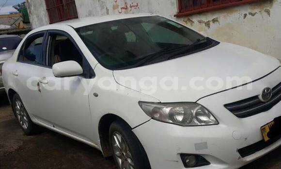 Acheter Occasion Voiture Toyota Corolla Blanc à Limbe, Malawi Acheter Occasion Voiture Toyota Corolla Blanc à Limbe, Malawi