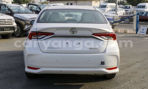 Buy Import Toyota Corolla White Car in Import - Dubai in Malawi Buy Import Toyota Corolla White Car in Import - Dubai in Malawi