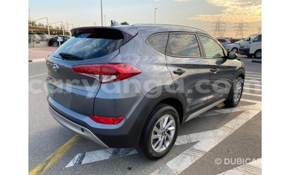 Buy Import Hyundai Tucson White Car in Import - Dubai in Malawi Buy Import Hyundai Tucson White Car in Import - Dubai in Malawi