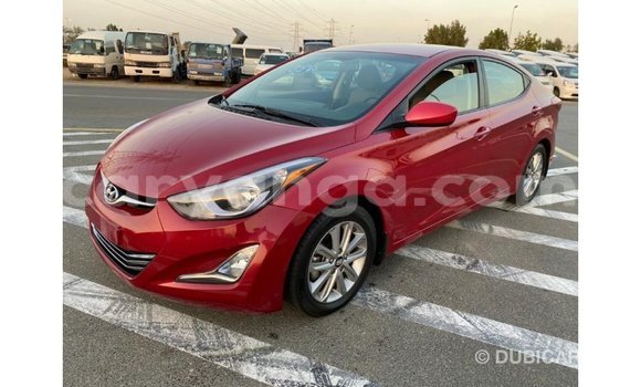 Buy Import Hyundai Elantra Red Car in Import - Dubai in Malawi Buy Import Hyundai Elantra Red Car in Import - Dubai in Malawi