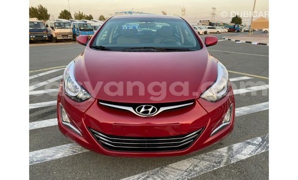 Buy Import Hyundai Elantra Red Car in Import - Dubai in Malawi Buy Import Hyundai Elantra Red Car in Import - Dubai in Malawi