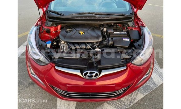 Buy Import Hyundai Elantra Red Car in Import - Dubai in Malawi Buy Import Hyundai Elantra Red Car in Import - Dubai in Malawi