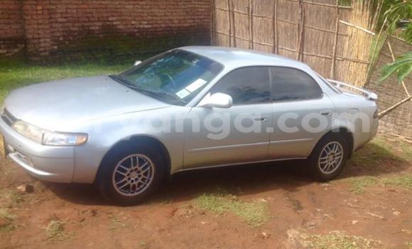 Buy Used Toyota 4Runner Silver Car in Blantyre in Malawi Buy Used Toyota 4Runner Silver Car in Blantyre in Malawi