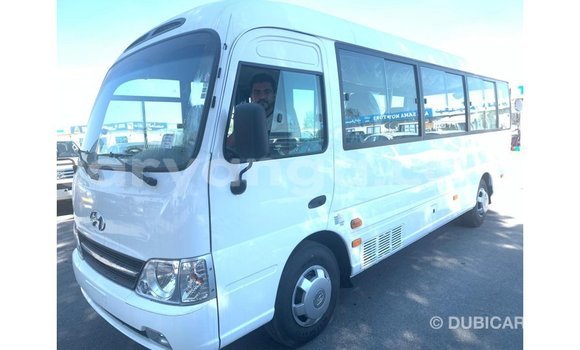 Buy Import Hyundai Chorus White Truck in Import - Dubai in Malawi Buy Import Hyundai Chorus White Truck in Import - Dubai in Malawi