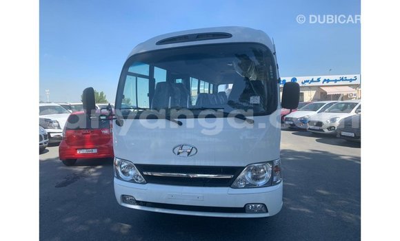 Buy Import Hyundai Chorus White Truck in Import - Dubai in Malawi Buy Import Hyundai Chorus White Truck in Import - Dubai in Malawi